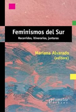 Feminismos del sur; Recorridos, itinerarios, junturas | Mariana(Editora) Alvarado