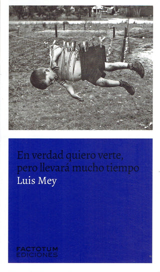 En Verdad Quiero Verte, Pero Llevará Mucho Tiempo | Luis Mey