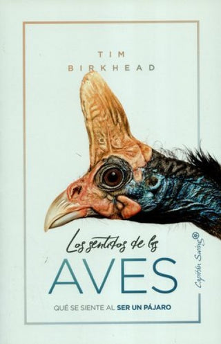 Los sentidos de las aves | Tim Birkhead