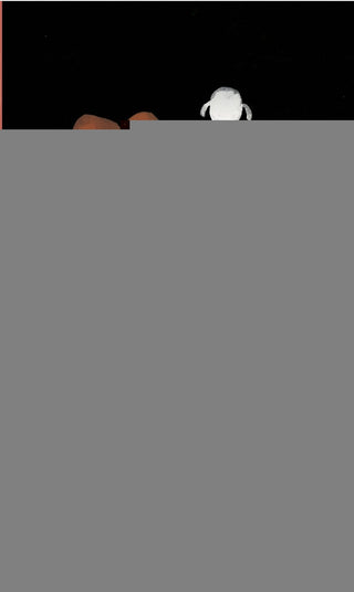 Un indio como tú y como yo | Erna Sassen