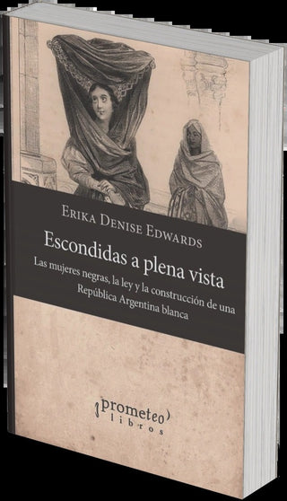 Escondidas A Plena Vista; Las Mujeres Negras, La Ley Y La Construccion De Argentina Blanca | ErikaDenise Edwards