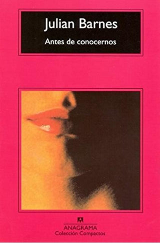 Antes de conocernos | Julian Barnes