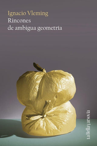 Rincones de ambigua geometría | Ignacio Vleming