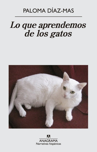 Lo que aprendemos de los gatos | Paloma Díaz-Mas