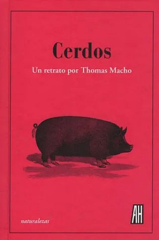 Cerdos | Thomas Macho